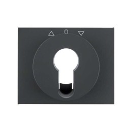 Frontplaat van de draaischakelaar met sleutel antraciet mat Berker K.1 - 15047106